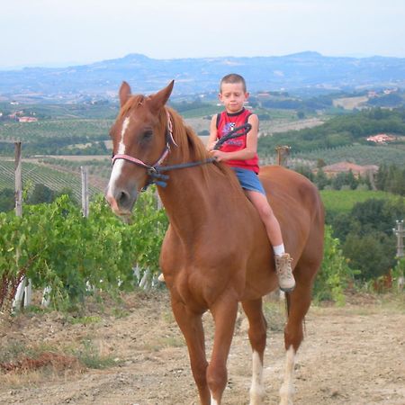 Agriturismo Podere La Marronaia San Gimignano Eksteriør bilde