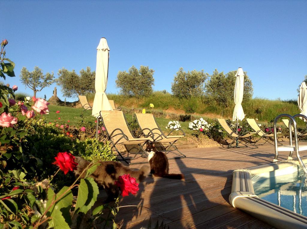 Agriturismo Podere La Marronaia San Gimignano Eksteriør bilde