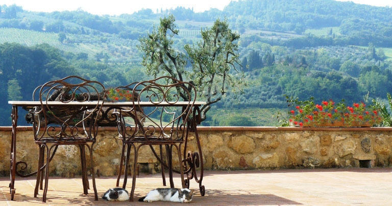 Agriturismo Podere La Marronaia San Gimignano Eksteriør bilde